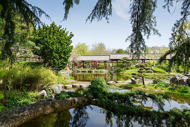 jardin japonais, île de versailles, nantes

